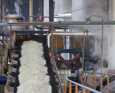 Cane Sugar Processing Chemicals